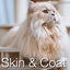 2.5 kg Ração para gatos Catxtreme Adult Skin & Coat Sterilized Chicken 2,5 kg, , large Indicador imagem número 4