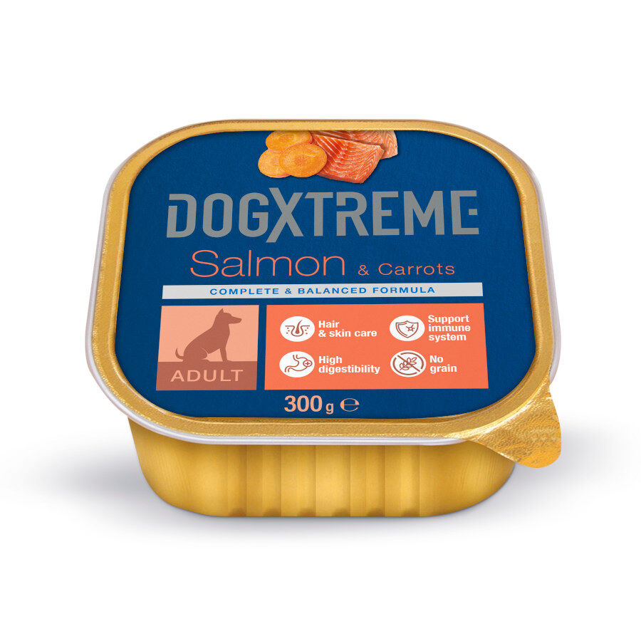 300 g Dogxtreme Adult Salm&atilde;o e Cenouras terrina para c&atilde;es , , large Imagem n&uacute;mero 1