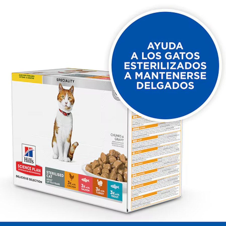 12 sobres x 85 g Hill's Science Plan Esterilizado Adulto Frango e Salm&atilde;o em Molho para Gatos, , large Imagem n&uacute;mero 3