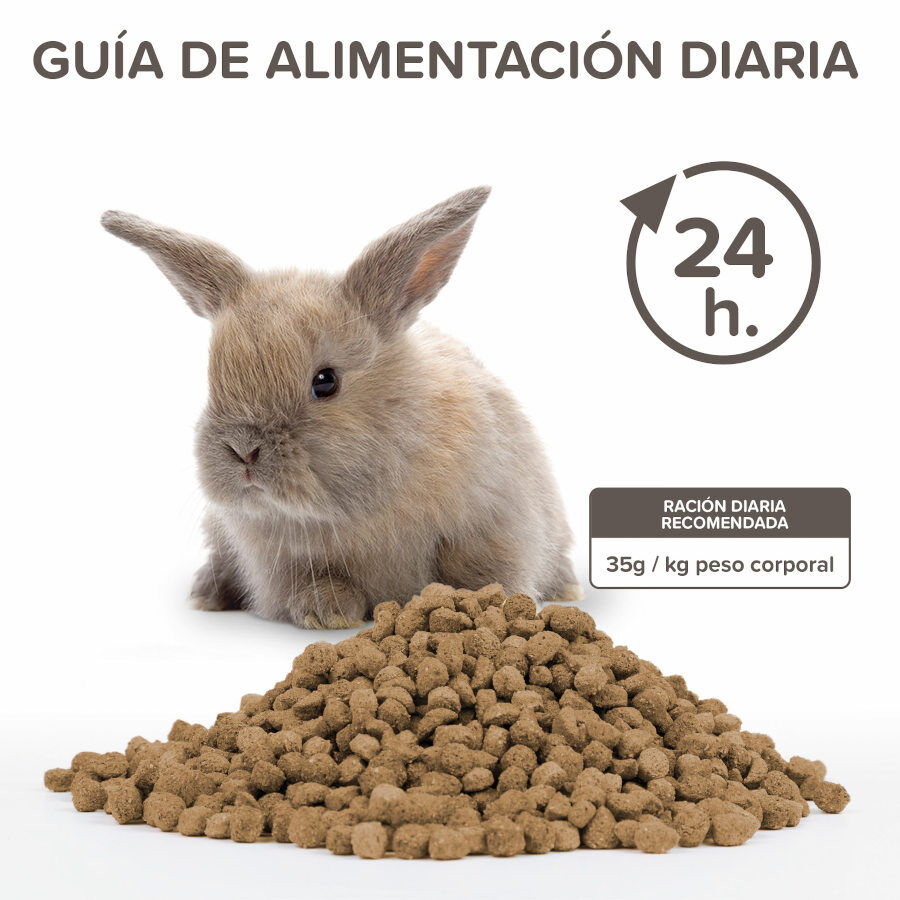 Beaphar Care+ Coelho J&uacute;nior ra&ccedil;&atilde;o para coelhos , , large Imagem n&uacute;mero 4