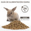 Beaphar Care+ Coelho Júnior ração para coelhos , , large Indicador imagem número 4