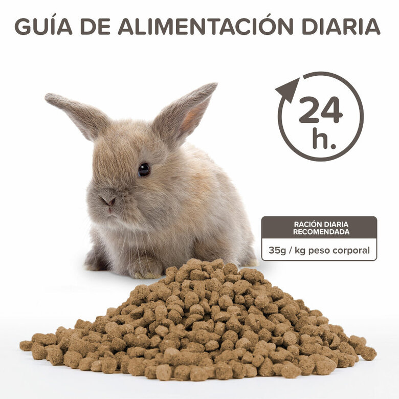 Beaphar Care+ Coelho Júnior ração para coelhos ,  Imagem número 4 Beaphar Care+ Coelho Júnior ração para coelhos , , large Imagem número 4