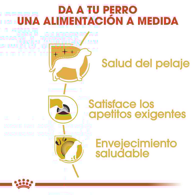 7.5 kg Royal Canin Adult Yorkshire Terrier ração para cães,  Imagem número 5 7.5 kg Royal Canin Adult Yorkshire Terrier ração para cães, , large Imagem número 5