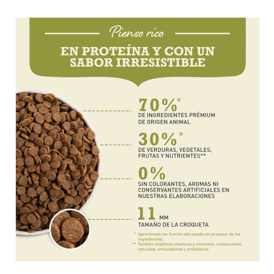 17 kg Acana Puppy Medium ra&ccedil;&atilde;o para c&atilde;es, , large Imagem n&uacute;mero 6