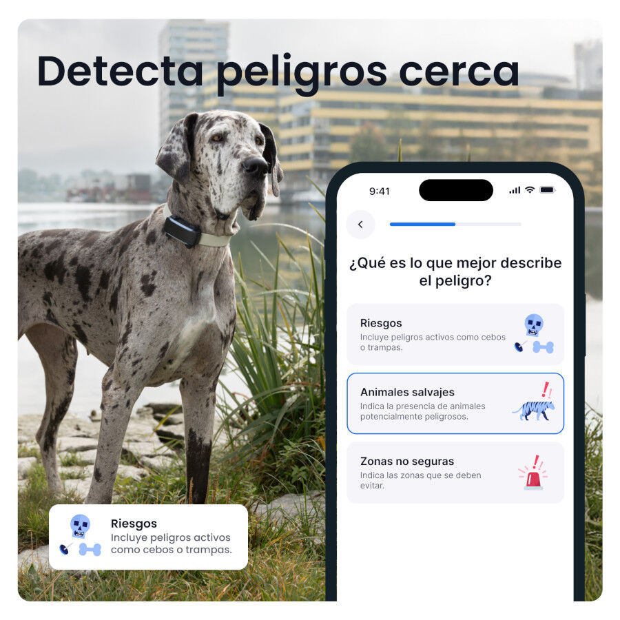 Tractive DOG 6 XL Preto GPS para c&atilde;es, , large Imagem n&uacute;mero 4