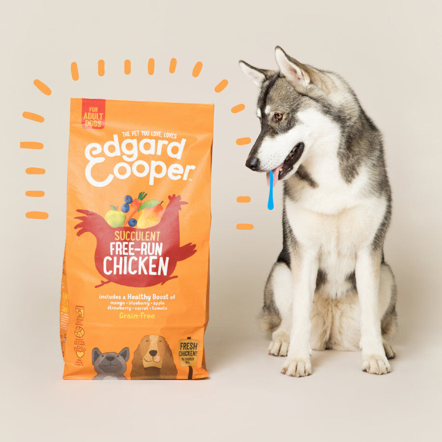 12 kg Edgard & Cooper Adult Frango ra&ccedil;&atilde;o para c&atilde;es, , large Imagem n&uacute;mero 3