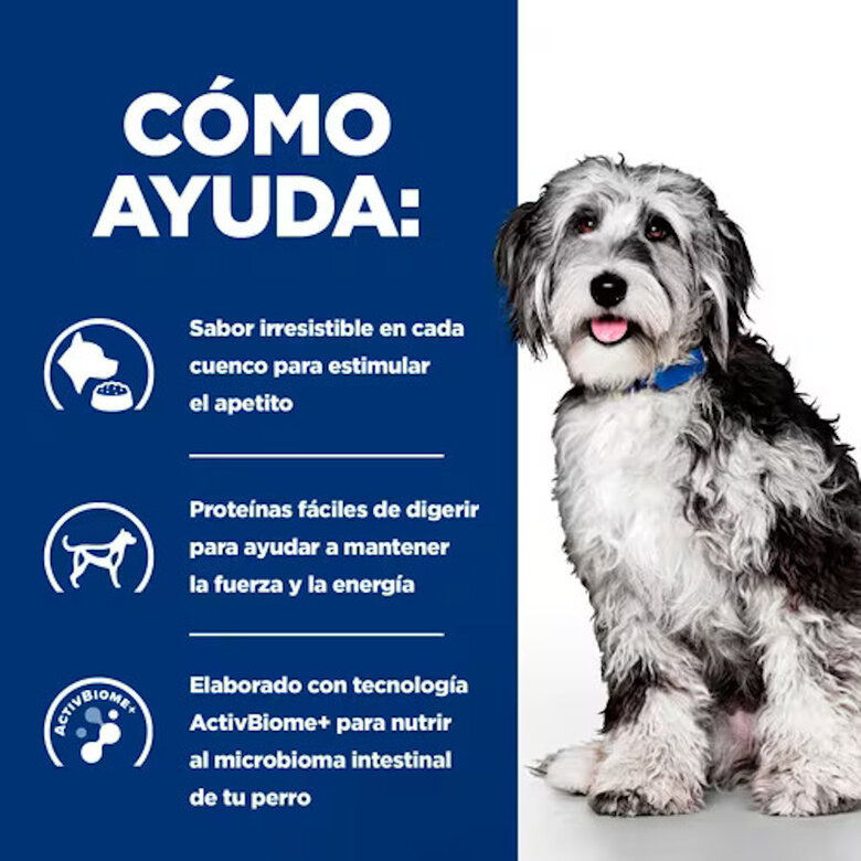345 g Hill's Prescription Diet ON-Care Estufado de Frango e Legumes em lata para cães,  Imagem número 3 345 g Hill's Prescription Diet ON-Care Estufado de Frango e Legumes em lata para cães, , large Imagem número 3