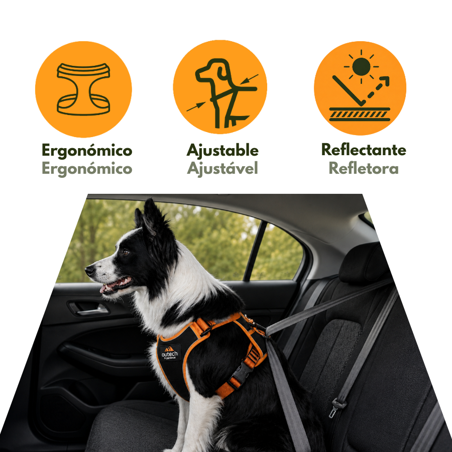 Outech X-perience Arn&ecirc;s de Carro para c&atilde;es, , large Imagem n&uacute;mero 5