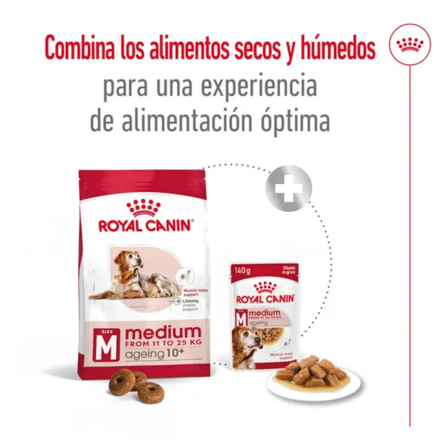 15 kg Royal Canin Medium 10+ Ageing ra&ccedil;&atilde;o para c&atilde;es, , large Imagem n&uacute;mero 8
