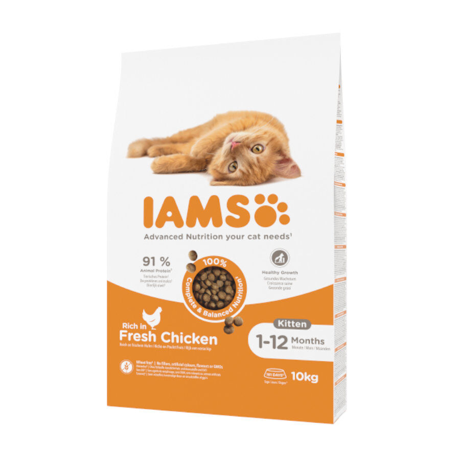 10 kg IAMS Kitten&Junior Ra&ccedil;&atilde;o de frango para gatos, , large Imagem n&uacute;mero 1