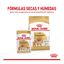 Royal Canin Adult Lulu da Pomerânia ração para cães, , large Indicador imagem número 4
