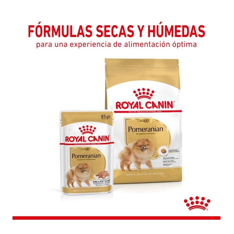 3 kg Royal Canin Pomeranian Adult ração para cães,  Imagem número 4 3 kg Royal Canin Pomeranian Adult ração para cães, , large Imagem número 4