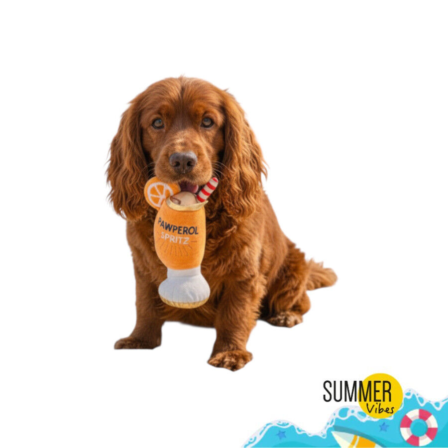 Summer Vibes Pawperol Spritz Peluche para c&atilde;es, , large Imagem n&uacute;mero 6