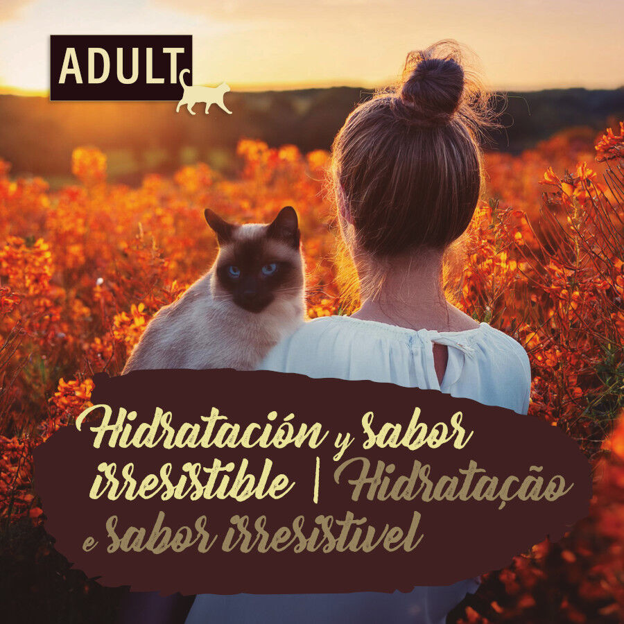 85 g True Origins Pure No Grain Comida h&uacute;mida de frango em saqueta para gatos, , large Imagem n&uacute;mero 4