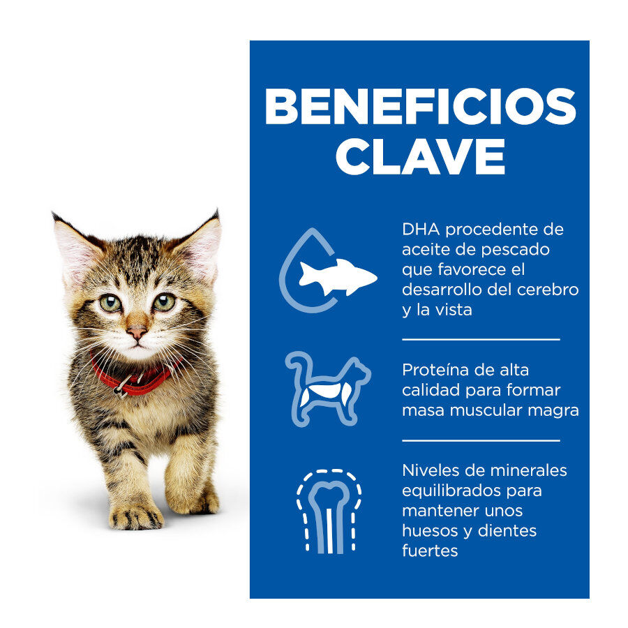 12 saquetas x 85 g Hill's Kittenn Science Plan Frango e Peixe saqueta para gatos - Multipack  12, , large Imagem n&uacute;mero 4