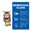 12 saquetas x 85 g Hill's Kittenn Science Plan Frango e Peixe saqueta para gatos - Multipack  12, , large Indicador imagem n&uacute;mero 4