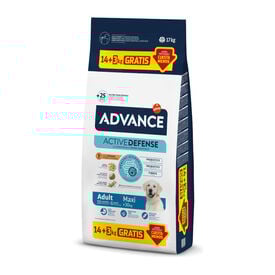 Advance Active Defense Maxi Adult Frango e Arroz ração para cães