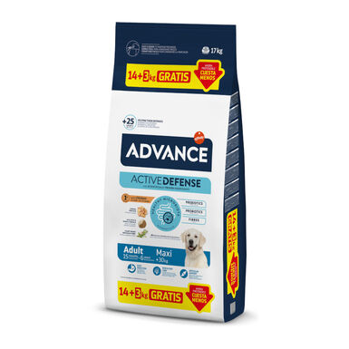 Advance Active Defense Maxi Adult Frango e Arroz ração para cães