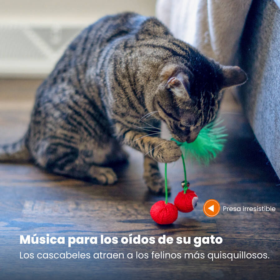 Catstages Dental Cherries Cerejas de Peluche macias para gatos, , large Imagem n&uacute;mero 3