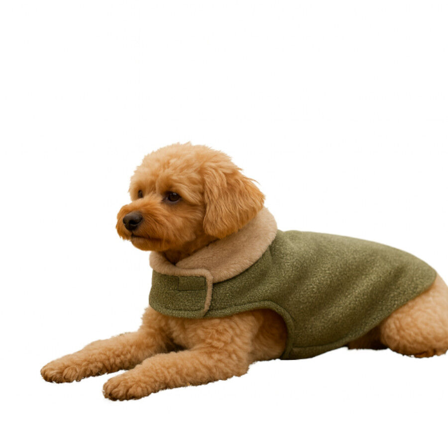 Outech Abrigo Brandy para c&atilde;es, , large Imagem n&uacute;mero 3