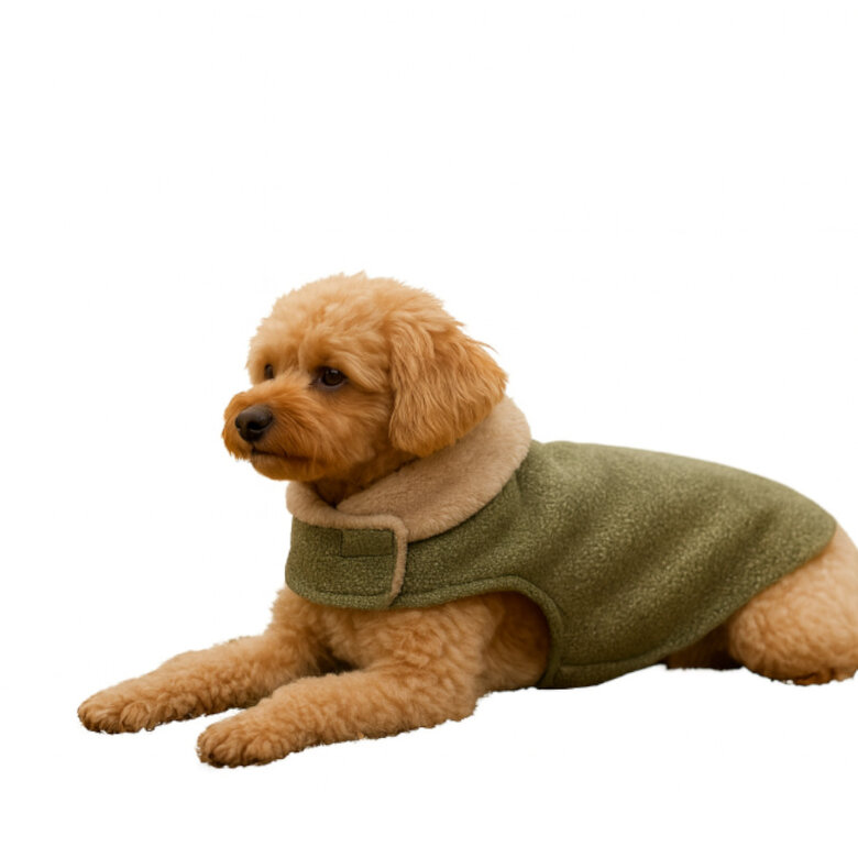 Outech Abrigo Brandy para cães,  Imagem número 3 Outech Abrigo Brandy para cães, , large Imagem número 3