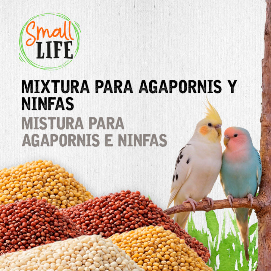 3.7 kg Small Life Mixtura Cubos para agapornis e caturras, , large Imagem n&uacute;mero 3