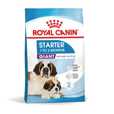 Royal Canin Starter Puppy Giant Ração