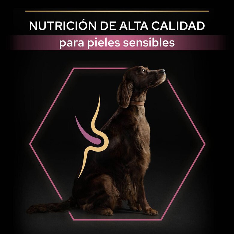 14 kg Pro Plan Large Athletic Adult Salmão Peles Sensíveis ração para cães,  Imagem número 8 14 kg Pro Plan Large Athletic Adult Salmão Peles Sensíveis ração para cães, , large Imagem número 8