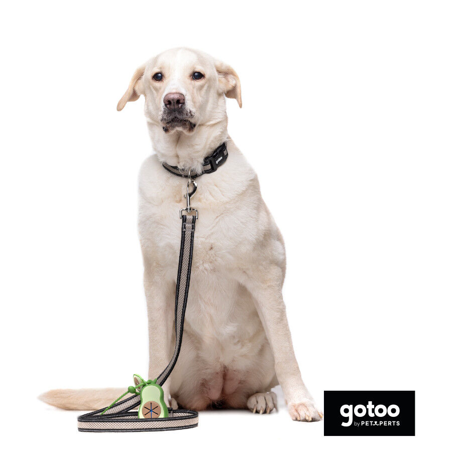 Gotoo Porta-sacos de silicone avocado para c&atilde;es, , large Imagem n&uacute;mero 6