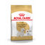 Royal Canin Adult White Terrier West Highland ração para cães, , large Indicador imagem número 1