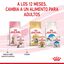 85 g Royal Canin Kitten Sterilised alimento húmido em molho saquetas para gatos, , large Indicador imagem número 7