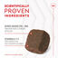 Royal Canin Joint & Ageing Chews Suplemento Nutricional para cães com sensibilidade articular, , large Indicador imagem número 6