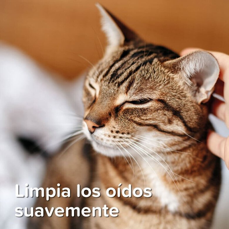 Beaphar Limpador de Orelhas para animais de estimação,  Imagem número 7 Beaphar Limpador de Orelhas para animais de estimação, , large Imagem número 7