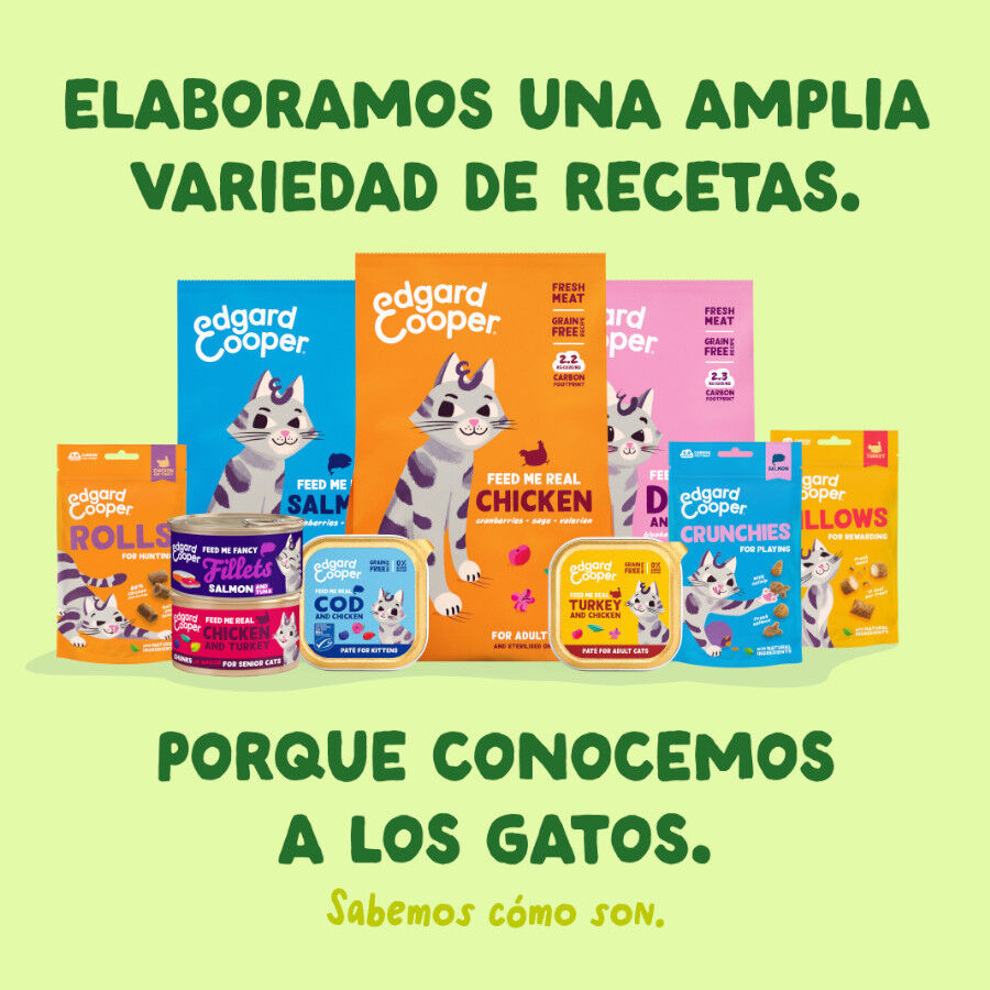 70 g Edgard & Cooper Filetes de Caballa Lata para gatos, , large Imagem n&uacute;mero 8