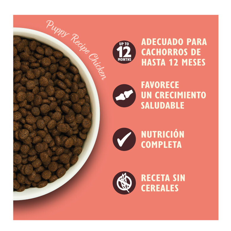 2.5 kg Lily's Kitchen Puppy Frango e Salmão ração para cães,  Imagem número 3 2.5 kg Lily's Kitchen Puppy Frango e Salmão ração para cães, , large Imagem número 3