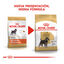 3 kg Royal Canin Adulti Schnauzer Miniatura ração para cães, , large Indicador imagem número 3
