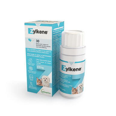 Zylkene Tranquilizante natural em comprimidos para o stress em cães e gatos