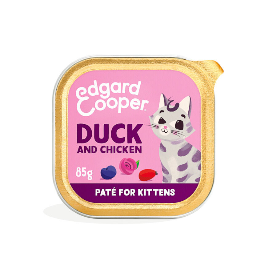 85 g Edgard y Cooper Kitten Pato e Frango em Pat&ecirc; terrina, , large Imagem n&uacute;mero 1