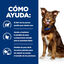 12 kg Hill's Prescription Diet Metabolic ra&ccedil;&atilde;o para c&atilde;es, , large Indicador imagem n&uacute;mero 5