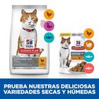 Hill's Science Plan Young AdultSterilised Frango ração para gatos, , large image number null