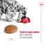 15 kg Royal Canin Medium 7+ Adult ração para cães seniores, , large Indicador imagem número 7