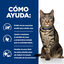 8 kg Hill's Prescription Diet Metabolic Atún pienso para gatos, , large Indicador imagem número 5