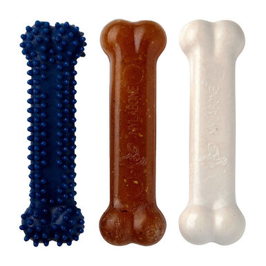 Nylabone Kit de Iniciação Mordedor Triple para cachorros 