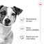 48 latas x 195 g Royal Canin Mini Adult Patâ em lata para cães Pack poupança!, , large Indicador imagem número 3