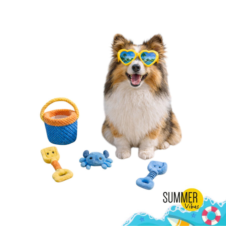 Summer Vibes Beach Set x4 Kit de Brinquedos para c&atilde;es, , large Imagem n&uacute;mero 7
