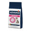 3 kg Advance Veterinary Diets Urinary ração para cães, , large Indicador imagem número 1