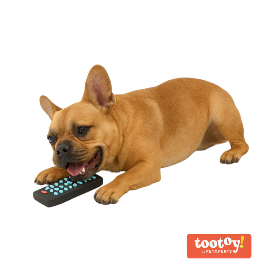 Tootoy! Chew TV Remote Mordedor com som para c&atilde;es, , large Imagem n&uacute;mero 2