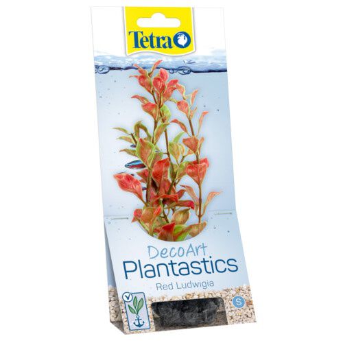 Tetra Ludwigia planta decorativa para acuario Imagem n&uacute;mero 1