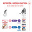85 g Royal Canin Kitten Sterilised Saquetas de Gelatina para gatinhos, , large Indicador imagem número 6