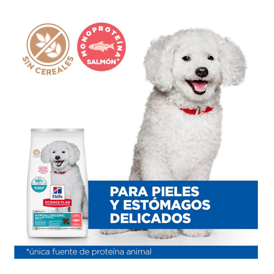 Hill's Science Plan Hipoalerg&eacute;nico Small e Mini Salm&atilde;o ra&ccedil;&atilde;o para c&atilde;es , , large Imagem n&uacute;mero 4
